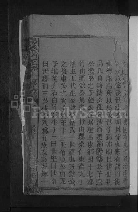 江西易氏族谱-易氏分支坐挪十二修族谱 [残卷].pdf电子版预览图3