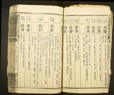 江西张氏族谱-分甯张氏宗谱[卷数不详].pdf电子版预览图3