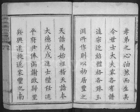 江西周氏族谱-丰谿大石周氏宗谱 [不分卷].pdf电子版预览图3