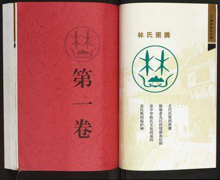 福建林氏族谱-闽沙林氏宗谱.pdf电子版预览图3