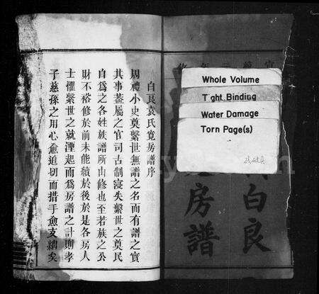 江西袁氏族谱-万载白良袁宽房谱 [8卷,及卷首].pdf电子版预览图3