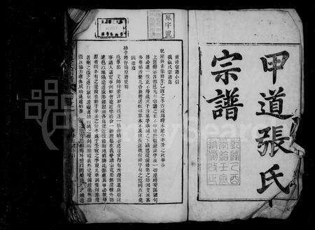 安徽张氏族谱-甲道张氏宗谱 [42卷,续编2卷].pdf电子版预览图3