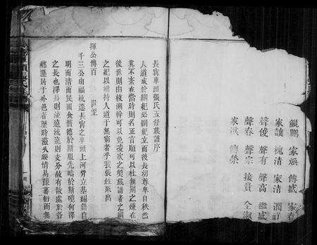 江西张氏族谱-张氏族谱 [不分卷].pdf电子版预览图3