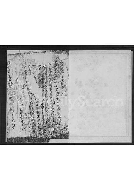 福建林氏族谱-万安林氏族谱.pdf电子版预览图3