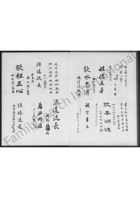 福建林氏族谱-安溪新春林氏大族谱 [不分卷].pdf电子版预览图3