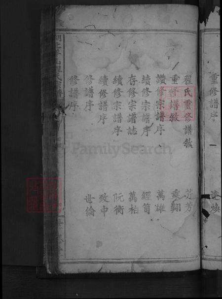 湖北省咸宁市通山县程氏世忠堂族谱-湖北羊山程氏宗谱.pdf电子版预览图3