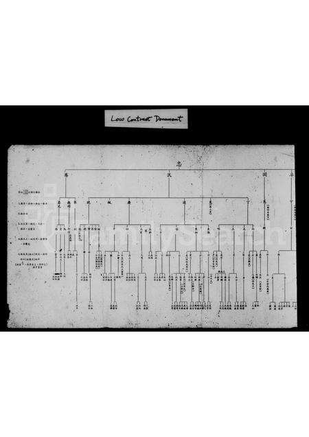 福建林氏族谱-彰化县伸港乡什股村林姓宗族系统表.pdf电子版预览图3