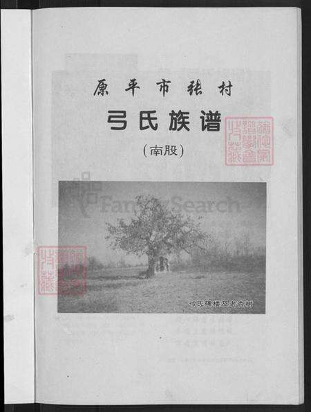 山西省忻州市原平市新原乡弓氏族谱-弓氏族谱(南股).pdf电子版预览图3