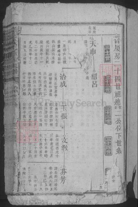 江西省吉安市泰和市螺溪镇黄氏族谱-路边黄氏重修族谱.pdf电子版预览图3