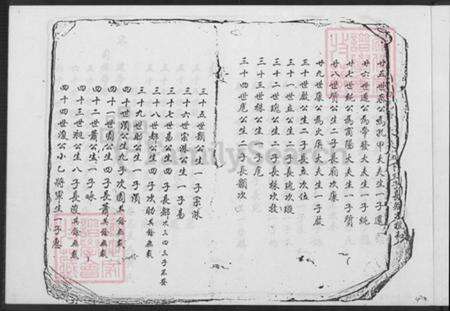 福建省漳州市平和县张氏族谱-张氏世谱.pdf电子版预览图3