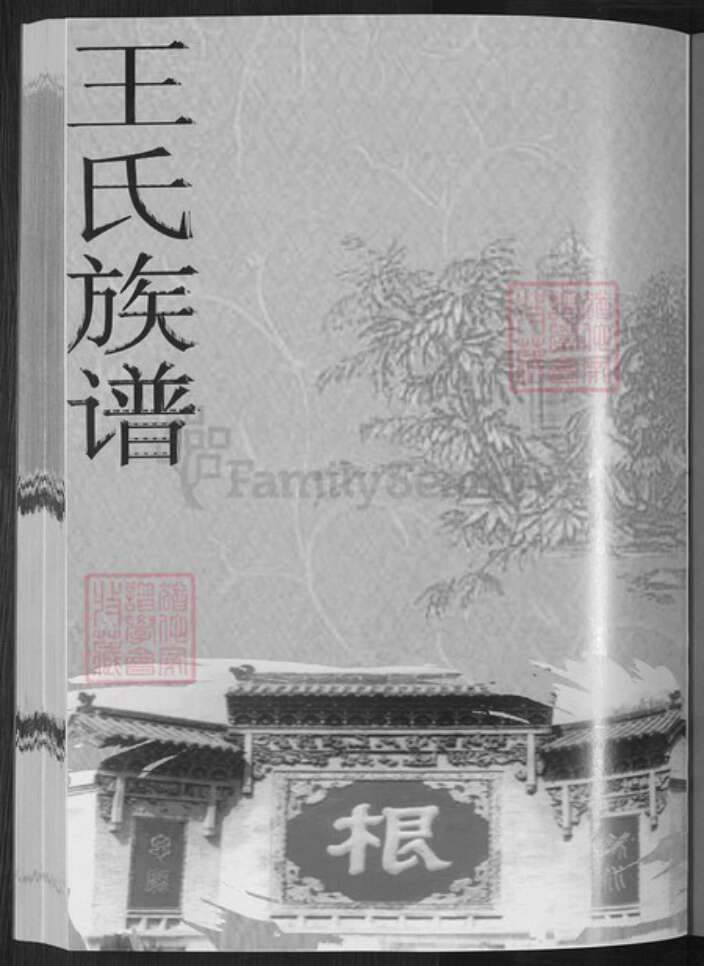 山东省淄博市博山区王氏族谱-王氏族谱.pdf电子版预览图3