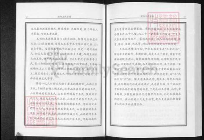 河南省濮阳市华龙区王氏族谱-濮阳王氏宗谱.pdf电子版预览图3