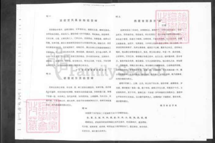 山东省烟台市栖霞市庄园街道王氏族谱-王氏谱书.pdf电子版预览图3