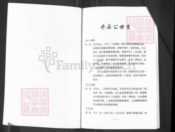 广东省揭阳市揭东区霖磐镇王氏族谱-王氏族谱.开石公世系.pdf电子版预览图3