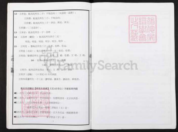 重庆市涪陵区王氏三槐堂族谱-王氏族谱.西蜀涪州榟里东流溪(应奇公)王氏宗支世系.pdf电子版预览图3