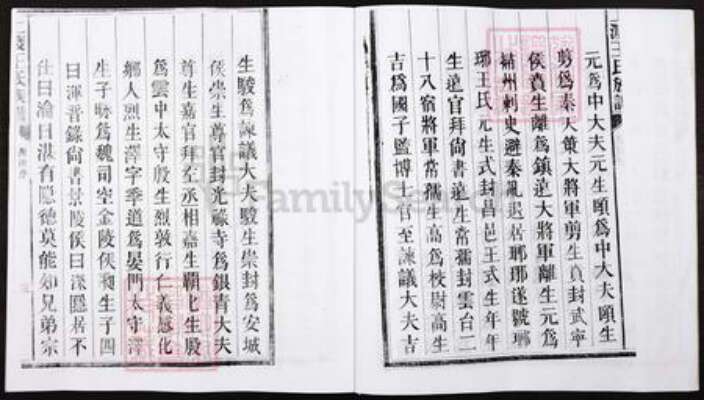 湖南省郴州市宜章县里田镇王氏族谱-湖南宜章县上渡王氏族谱.pdf电子版预览图3