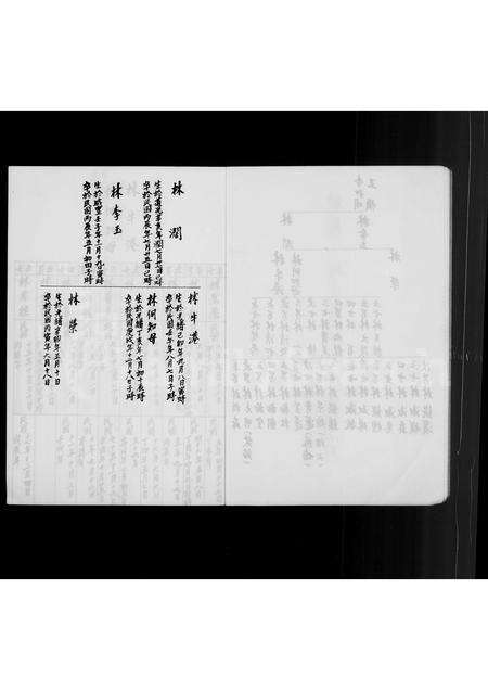 福建林氏族谱-[林氏家谱].pdf电子版预览图3