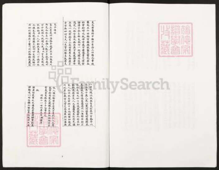 湖南省邵阳市武冈市武冈王氏族谱-王氏族谱垫江县太平镇王家老湾王氏宗族.pdf电子版预览图3