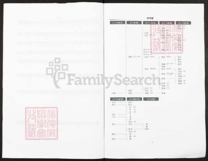 贵州省铜仁市铜仁市王氏族谱-贵州省沿河县城金田王氏族谱.pdf电子版预览图3