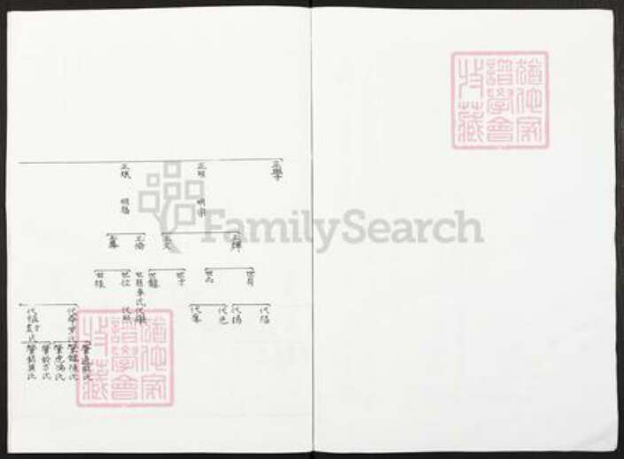 重庆市涪陵区王氏三槐堂族谱-重庆市涪陵区大坝太原王氏族谱.pdf电子版预览图3