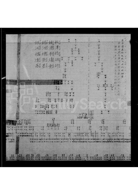 福建林氏族谱-西安林氏红系图.pdf电子版预览图3