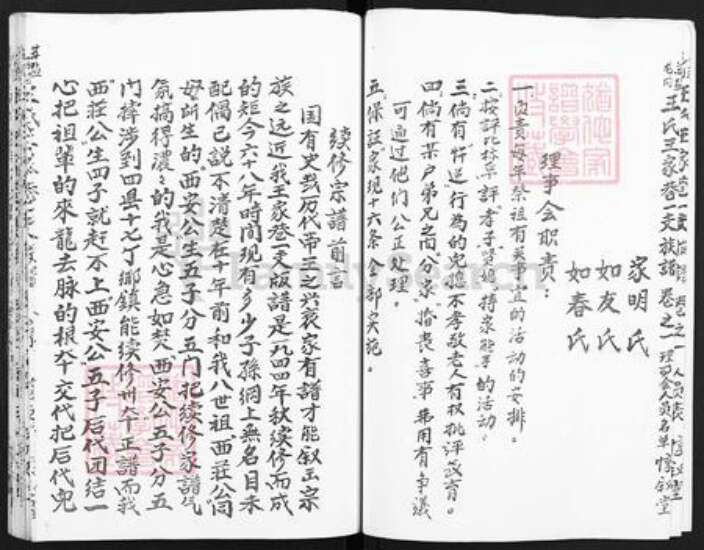 江苏省盐城市亭湖区伍佑街道王氏惇叙堂族谱-王氏宗谱.pdf电子版预览图3