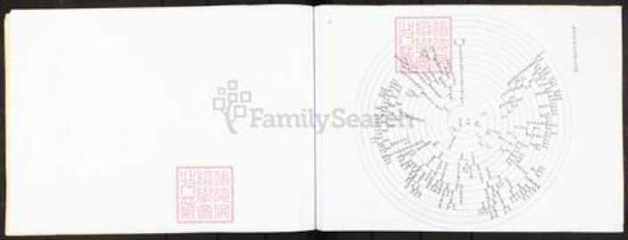 广东省广州市番禺区沙湾镇王氏族谱-番禺县沙湾乡王姓支派图.pdf电子版预览图3