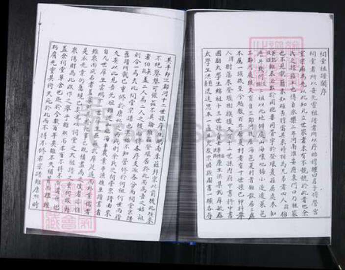 山东省青岛市崂山区王氏族谱-山东头社区王氏支谱.pdf电子版预览图3