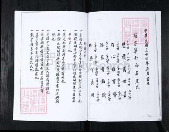 山东省青岛市崂山区王氏族谱-书院社区王氏族谱.pdf电子版预览图3