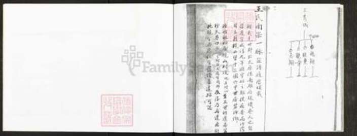 广东省广州市番禺区王氏流光堂族谱-二宅流光堂族谱.pdf电子版预览图3