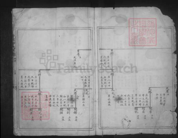 浙江省宁波市奉化区印氏族谱-甘里印氏宗谱.pdf电子版预览图3