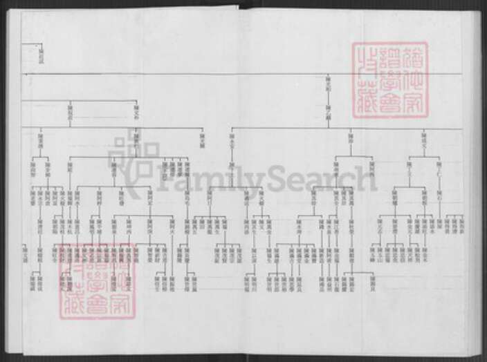 台湾台北市文山区陈氏族谱-陈志抱派下谱系世系表.pdf电子版预览图3