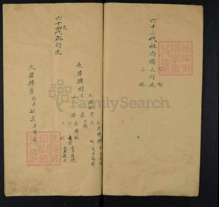 山东省济南市长清区文昌街道孟氏族谱-Missing Title.pdf电子版预览图3