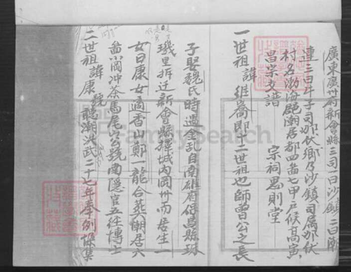 广东省江门市新会区沙堆镇高氏思则堂族谱-高氏宗祖族谱.pdf电子版预览图3