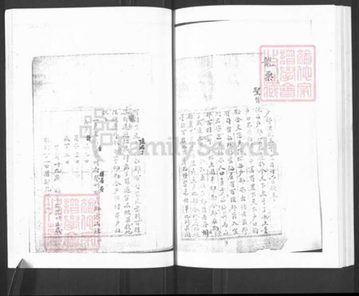 山东省烟台市栖霞市王氏族谱-栖霞王氏族谱.pdf电子版预览图3