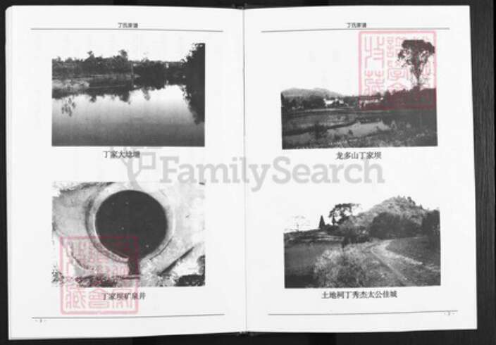 四川省遂宁市蓬溪县湖南省丁氏族谱-丁氏家谱.pdf电子版预览图3