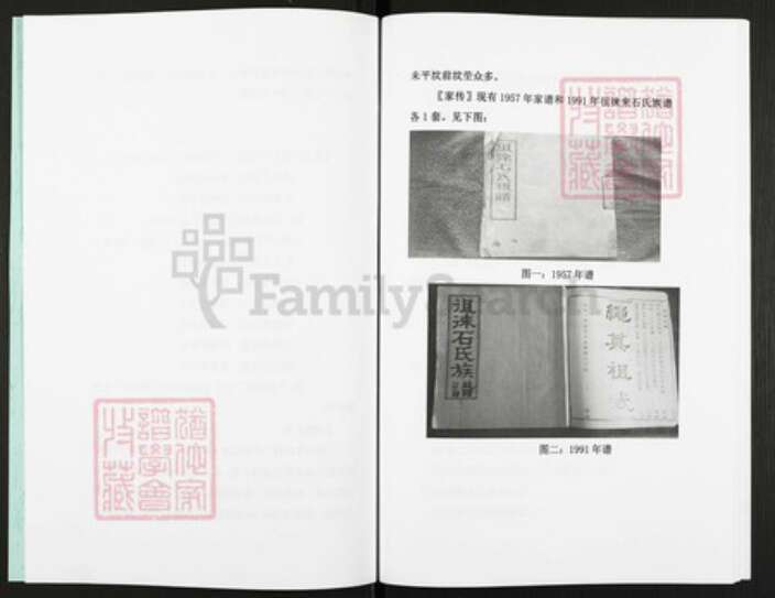 山东省枣庄市滕州市石氏族谱-鲁南滕州市大石楼村石氏.pdf电子版预览图3
