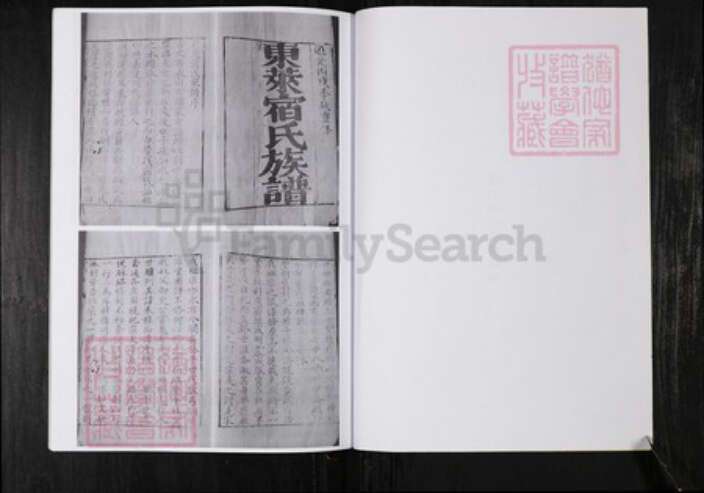 山东省烟台市宿氏族谱-东莱宿氏族谱.pdf电子版预览图3