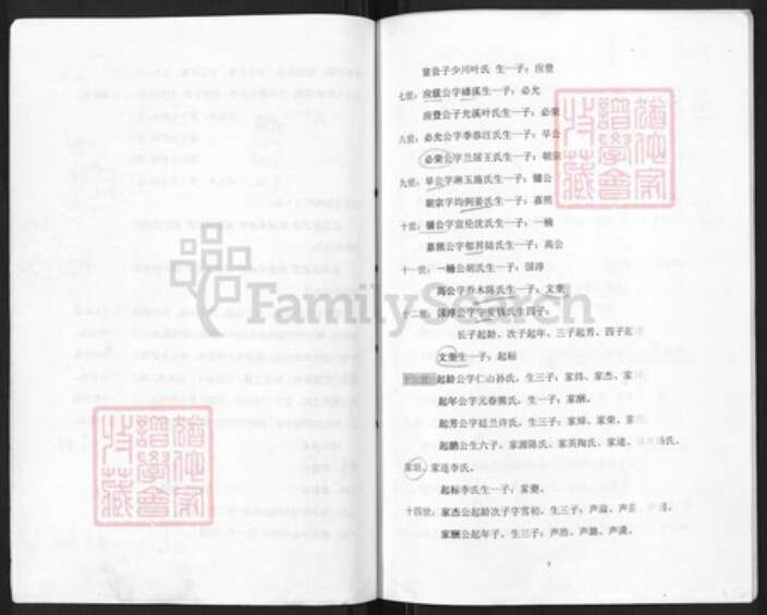 江苏省南京市六合区朱氏玉照堂族谱-朱氏家谱.pdf电子版预览图3