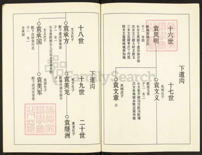 山东省枣庄市市中区孟庄镇袁氏族谱-袁氏族谱.pdf电子版预览图3