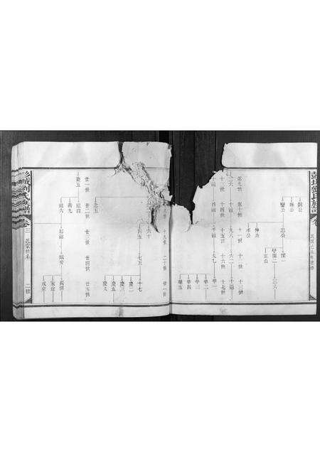 福建刘氏族谱-彭城刘氏族谱[4卷,首1卷].pdf电子版预览图3