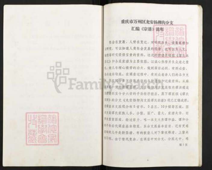 重庆市万州万县龙驹镇谭氏族谱-谭氏宗谱.pdf电子版预览图3