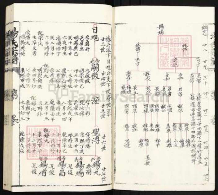 浙江省丽水市青田县汤氏族谱-汤氏宗谱.pdf电子版预览图3