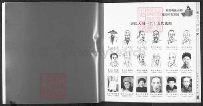 四川省遂宁市大英县唐氏族谱-唐氏族谱.pdf电子版预览图3