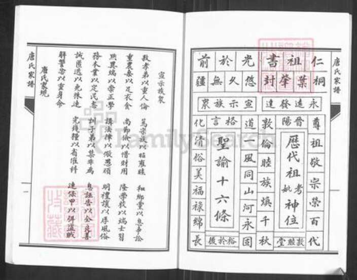 湖南省永州市零陵区唐氏族谱-唐氏家谱.pdf电子版预览图3