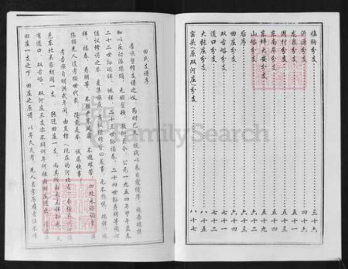 山东省淄博市淄川区田氏族谱-田氏田庄家谱.pdf电子版预览图3