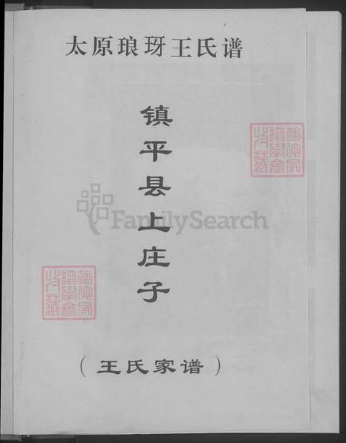 河南省南阳市镇平县王氏族谱-王氏家谱 [不分卷].pdf电子版预览图3