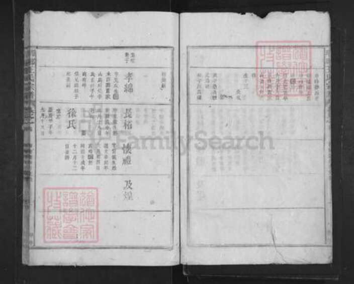 山东省临沂市临沂市王氏族谱-琅琊王氏宗谱.pdf电子版预览图3