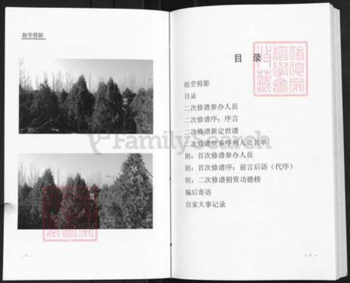 河南省开封市通许县王氏族谱-赵辉三槐王氏家谱.pdf电子版预览图3