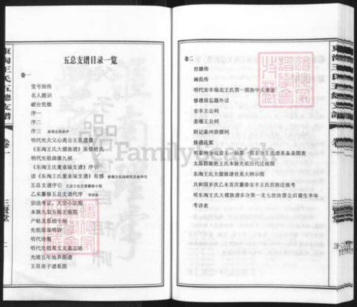 江苏省盐城市东台市唐洋镇王氏三贤堂族谱-东淘王氏大儒族谱五总支谱.pdf电子版预览图3